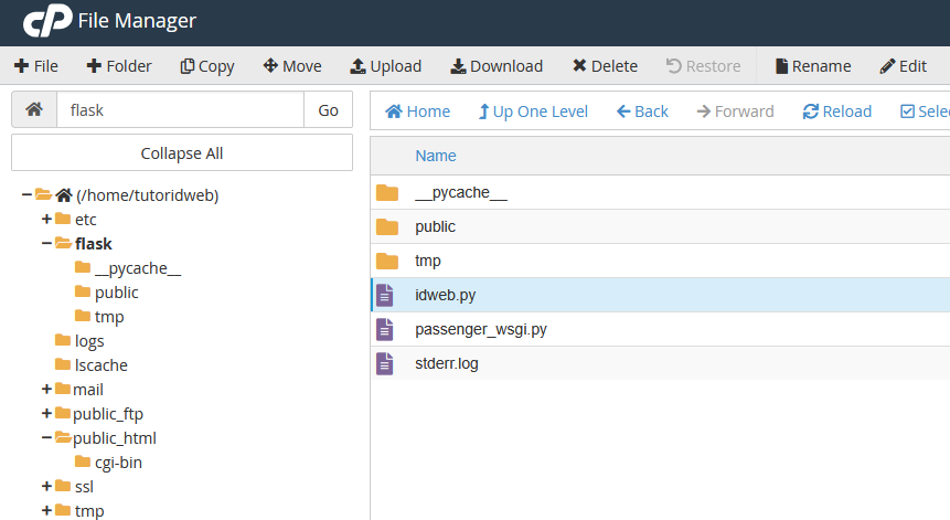Cara Install Flask Python di cPanel