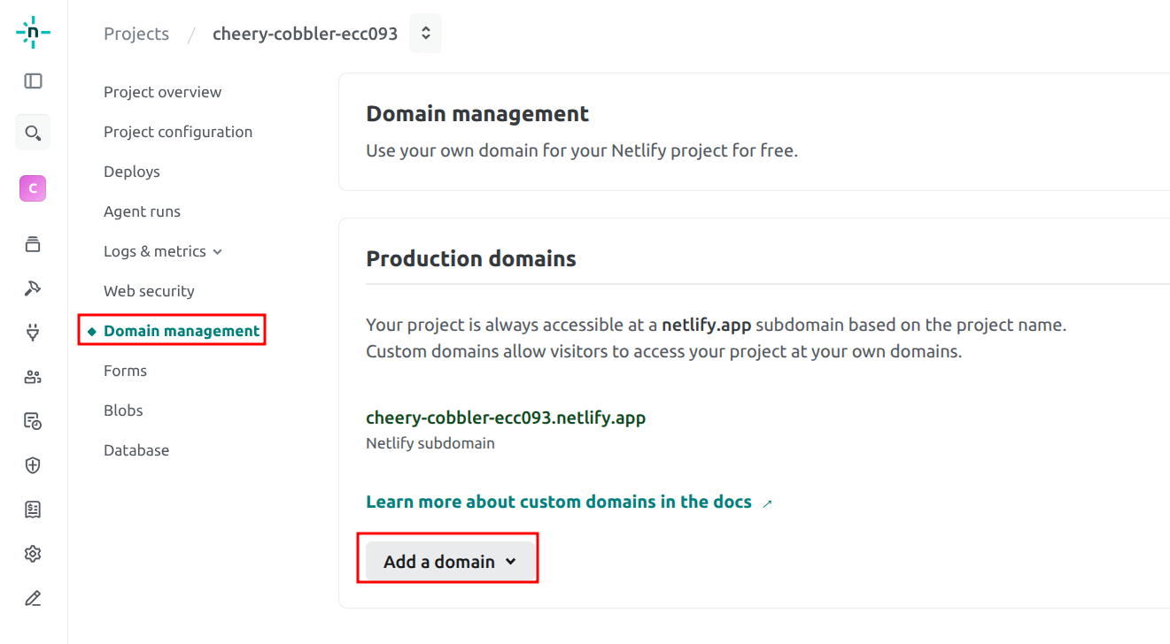 cara custom domain Netlify