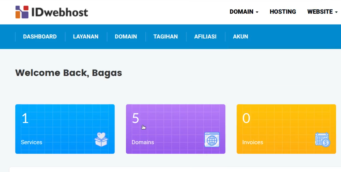 cara custom domain Netlify