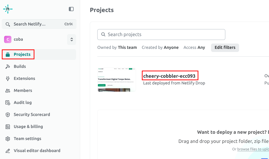 cara custom domain Netlify
