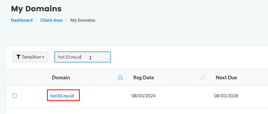 cara custom domain Netlify