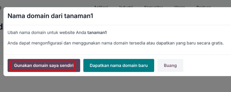 Cara Custom & Mapping Domain Odoo