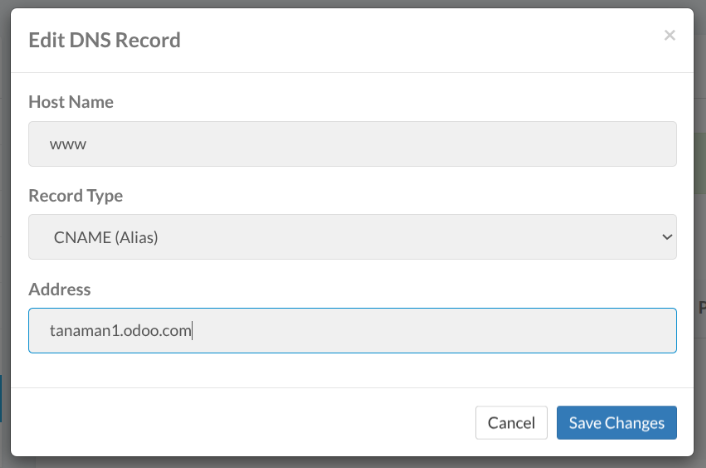 Cara Custom & Mapping Domain Odoo