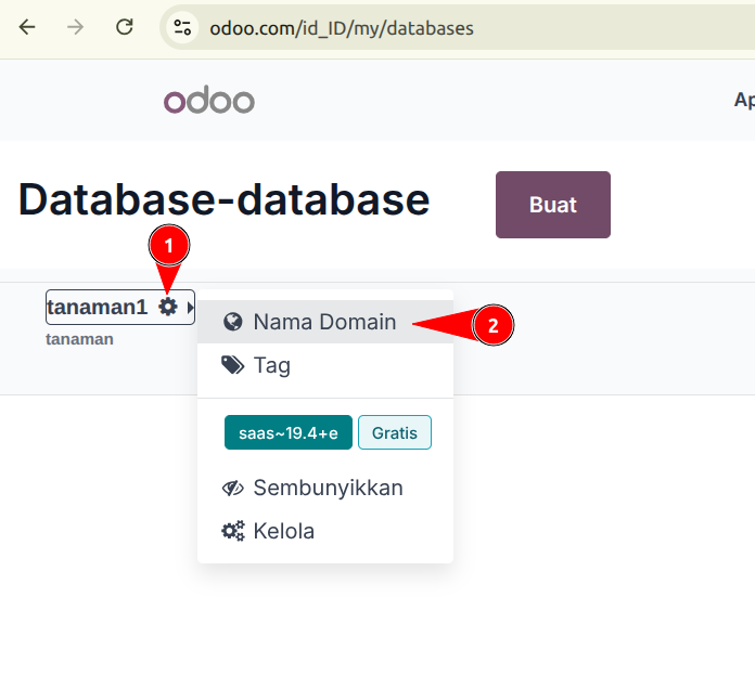 Cara Custom & Mapping Domain Odoo