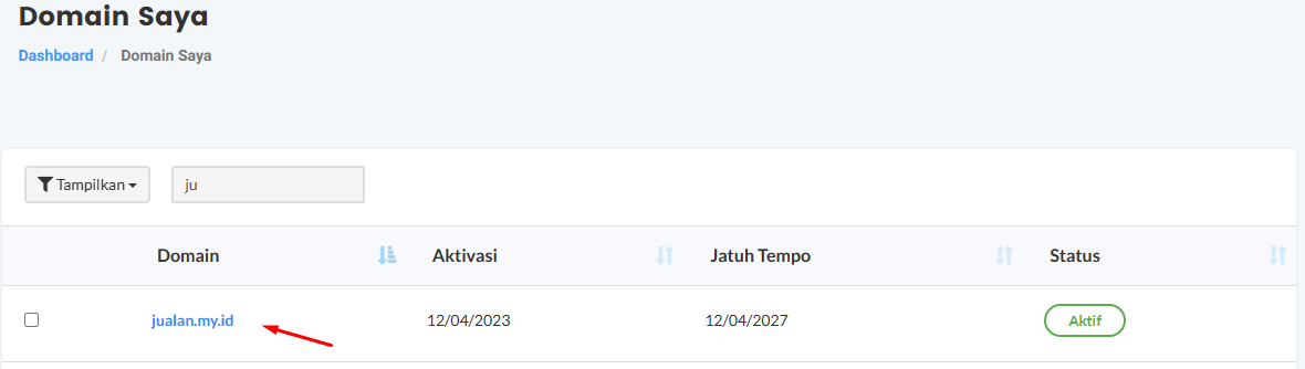 Cara Custom Domain di Berdu