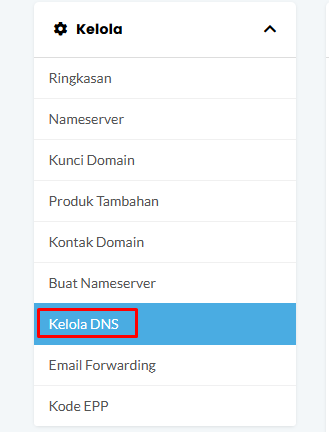Cara Custom Domain di Berdu