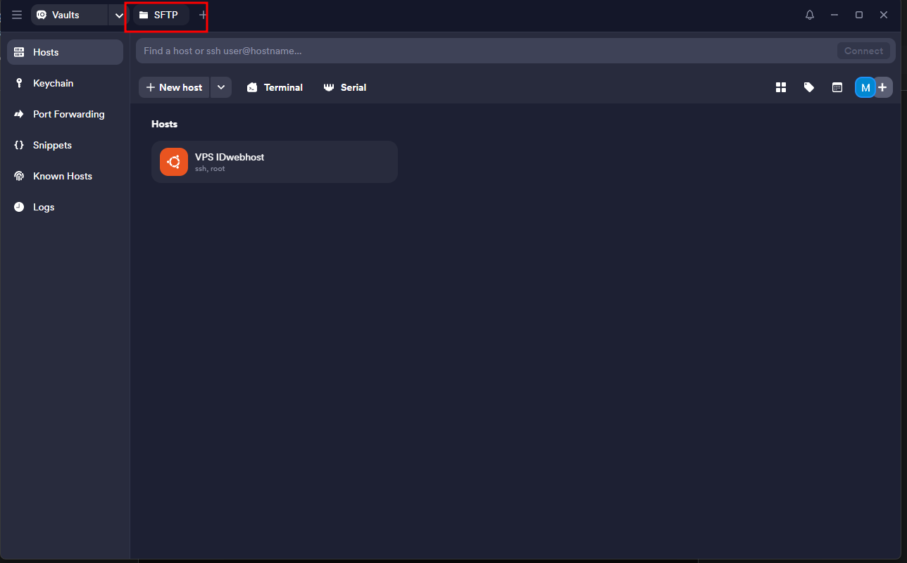 Cara Menggunakan Termius untuk Koneksi SSH ke Server