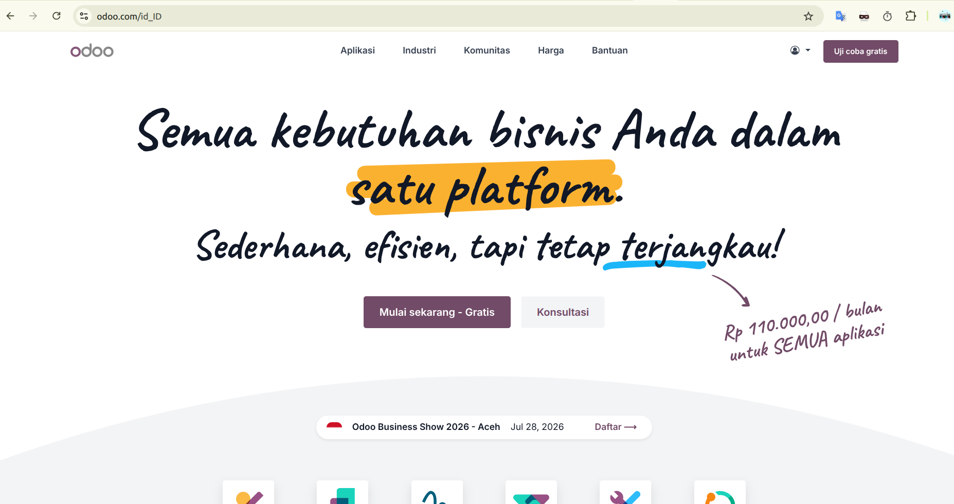 Cara Custom & Mapping Domain Odoo