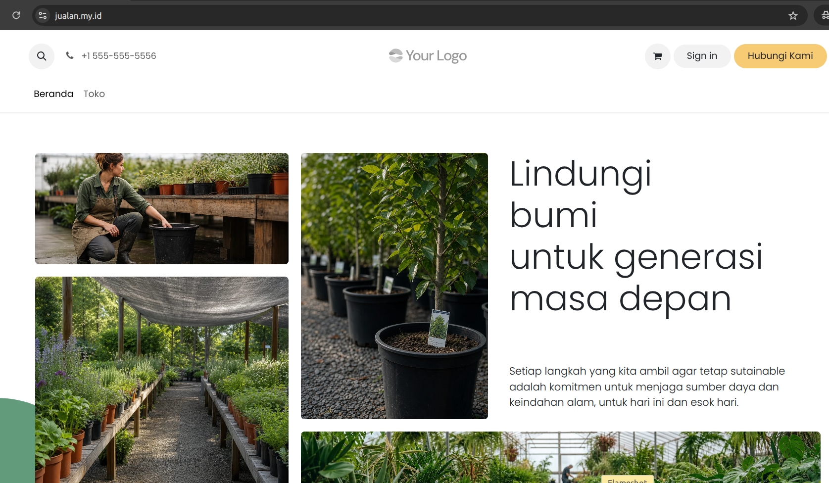 Cara Custom & Mapping Domain Odoo
