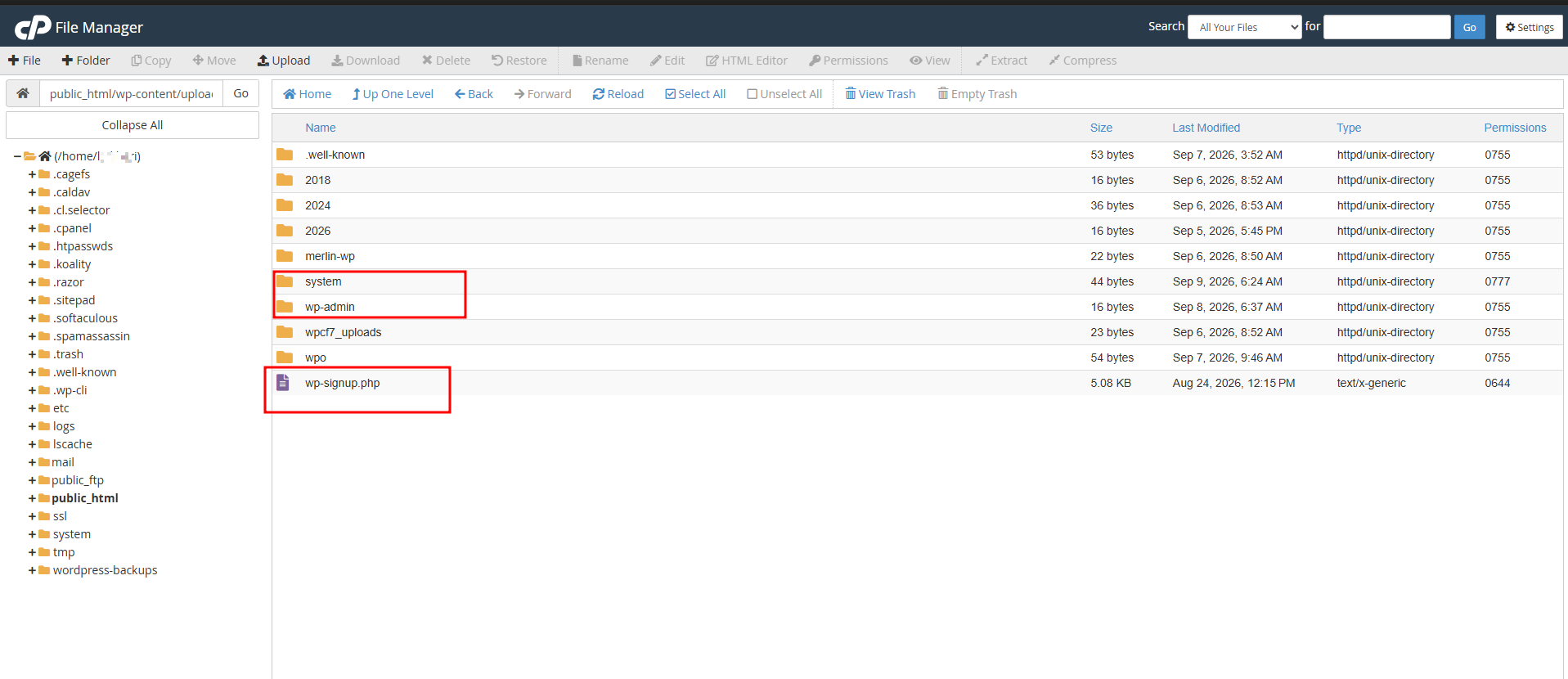 Cara Membersihkan WordPress dari Malware