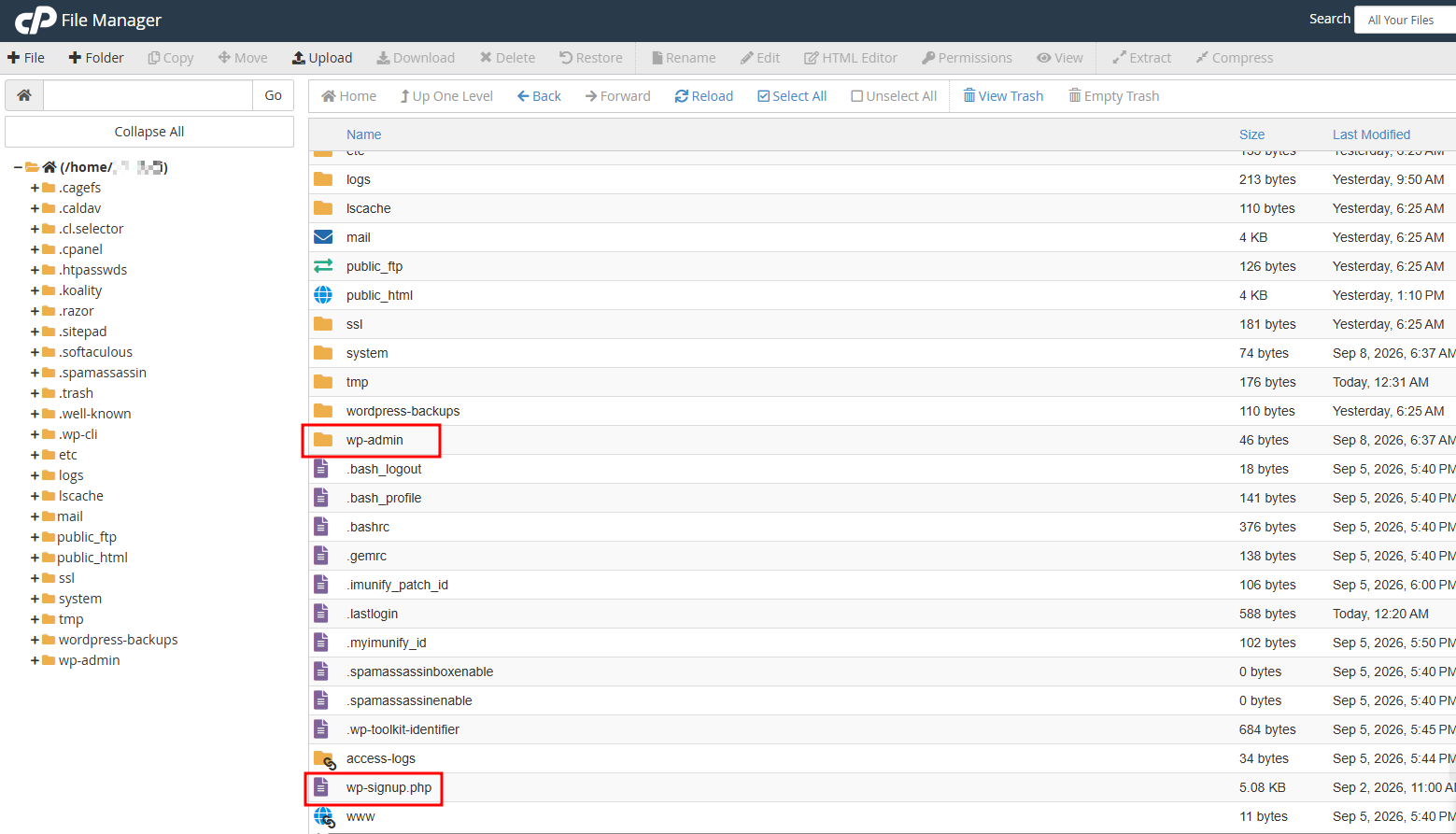 Cara Membersihkan WordPress dari Malware
