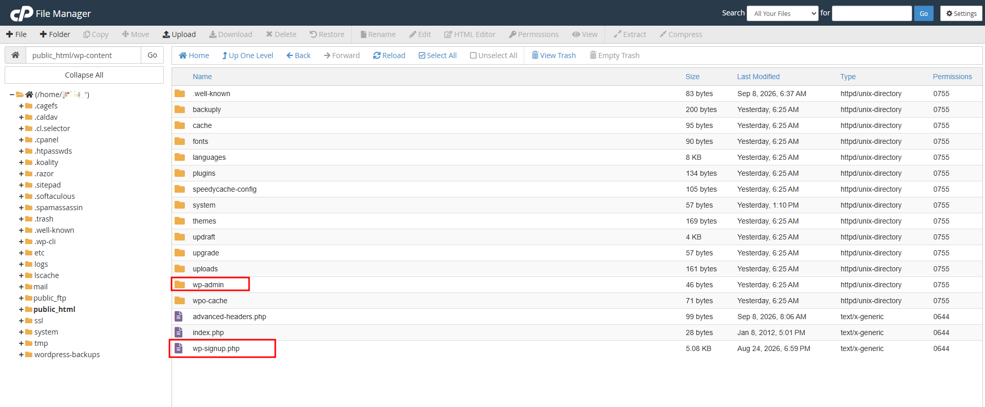 Cara Membersihkan WordPress dari Malware