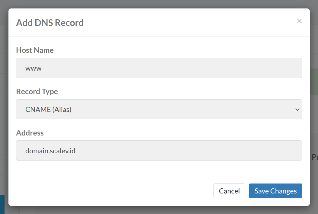Cara Custom Domain di Scalev