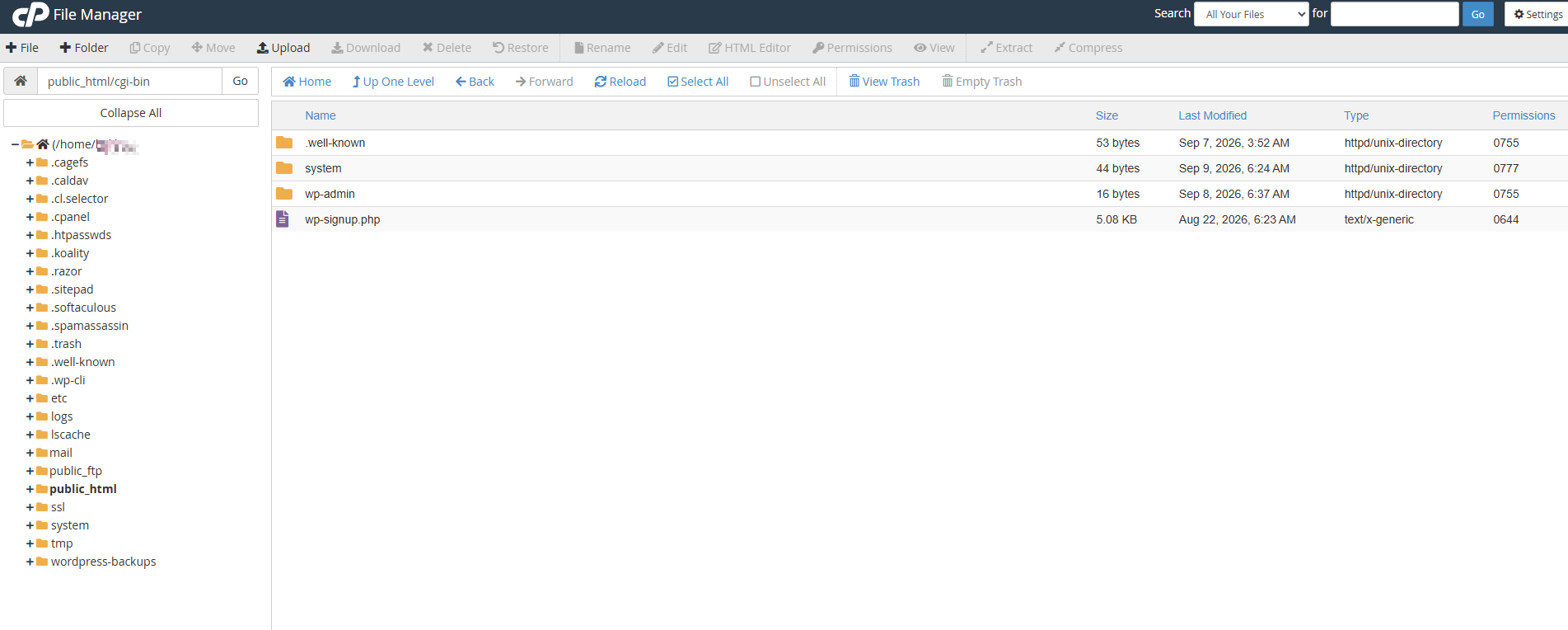 Cara Membersihkan WordPress dari Malware