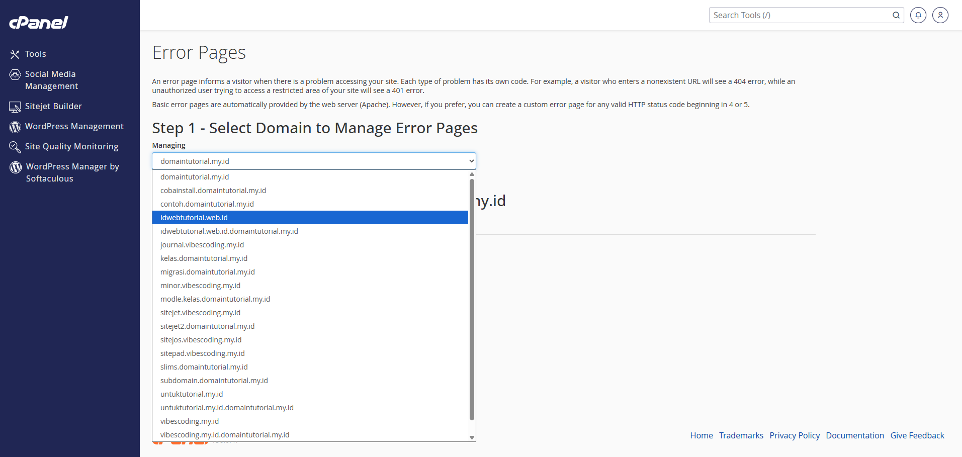 Cara Menggunakan Error Pages di cPanel dengan Theme Jupiter