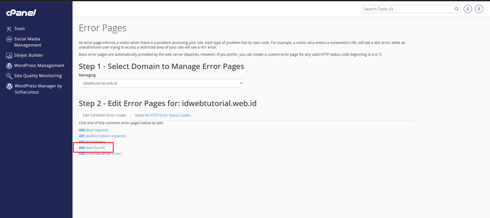 Cara Menggunakan Error Pages di cPanel dengan Theme Jupiter