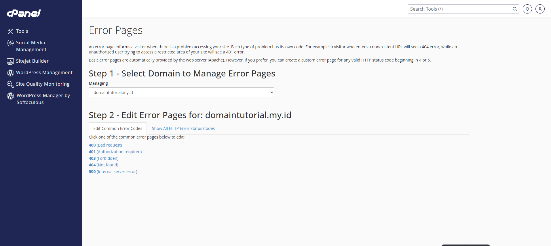 Cara Menggunakan Error Pages di cPanel dengan Theme Jupiter