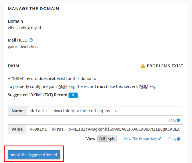 Cara Atasi Email Ditolak Gmail: DKIM, SPF, DMARC di cPanel