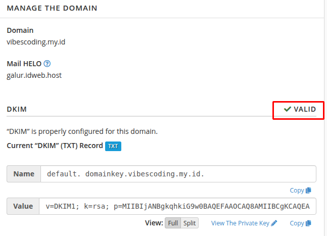 Cara Atasi Email Ditolak Gmail: DKIM, SPF, DMARC di cPanel