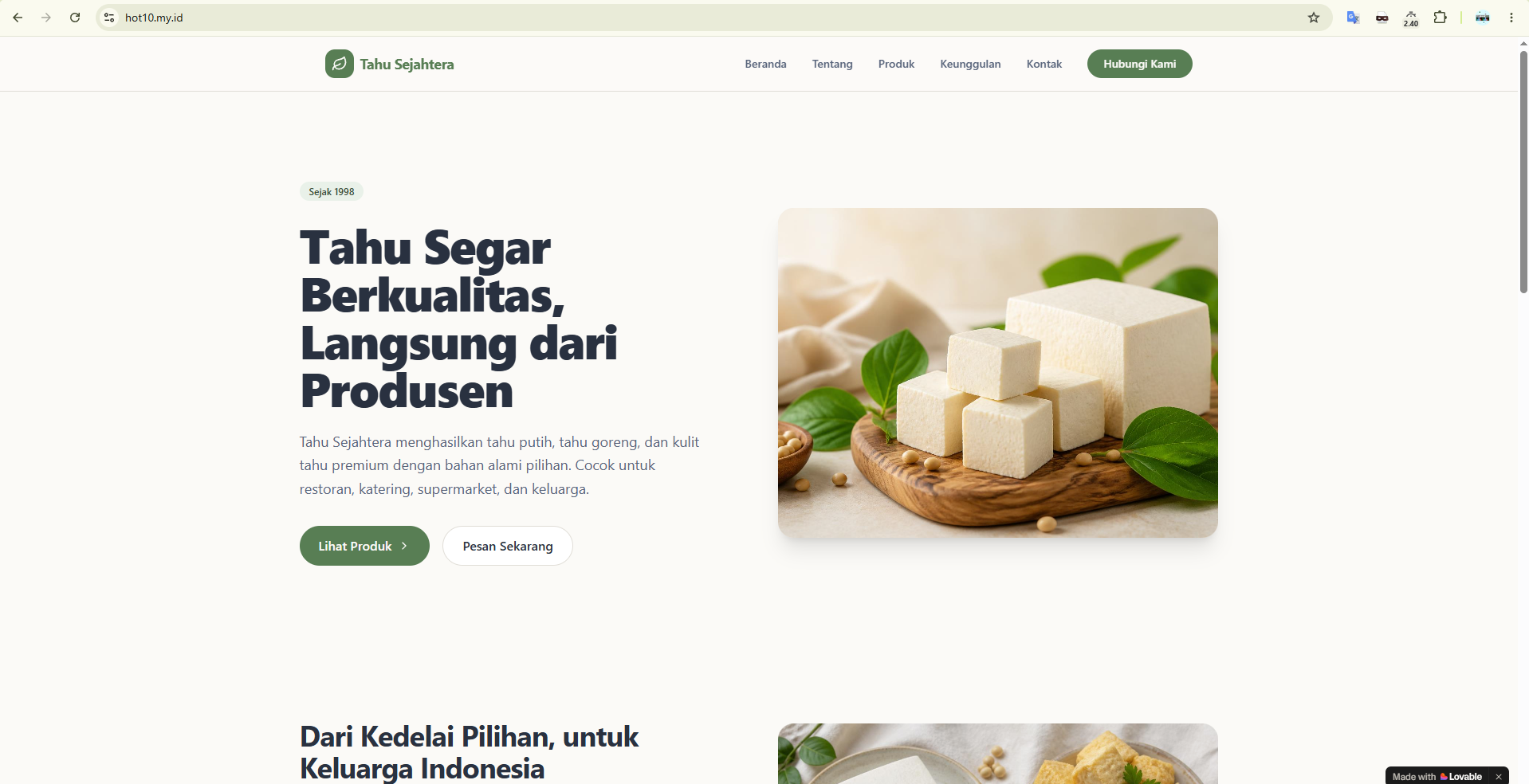Custom Domain Lovable di IDwebhost
