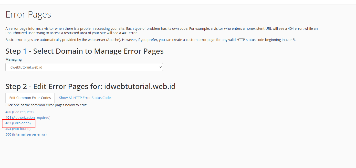 Cara Menggunakan Error Pages di cPanel dengan Theme Jupiter